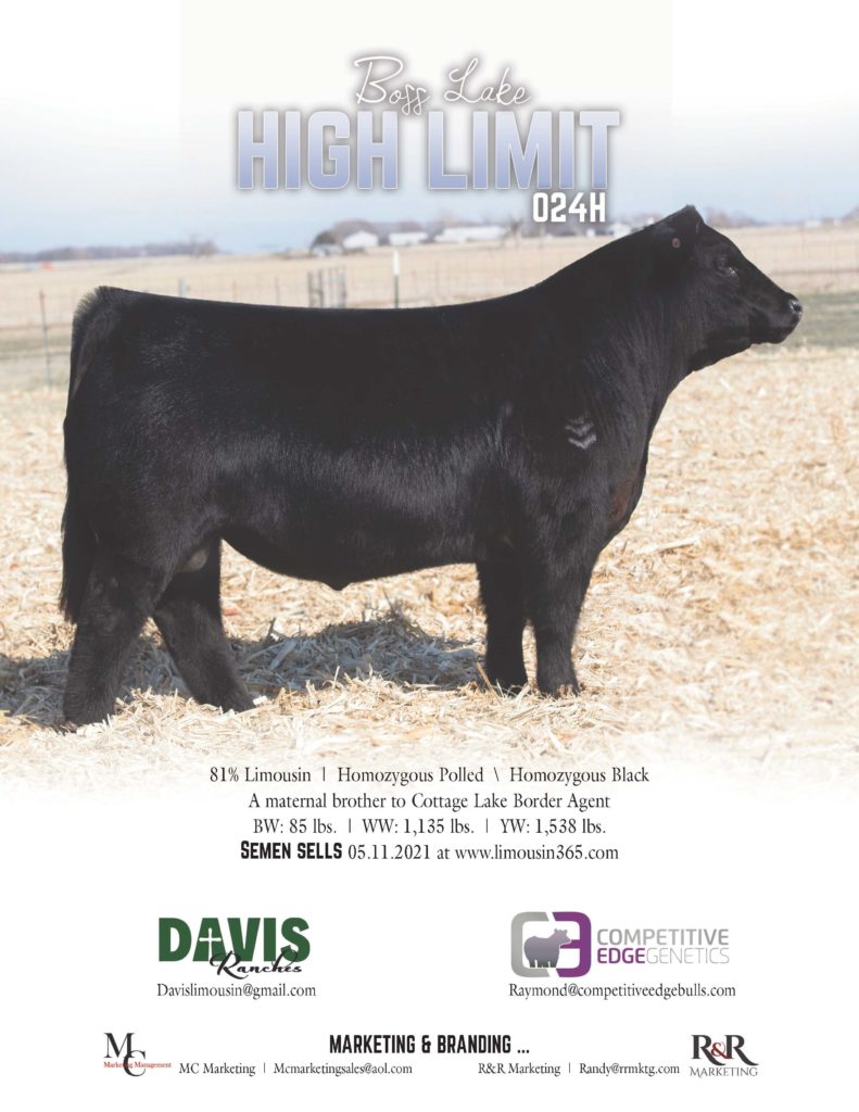 High-Limit-Bull-Ad-May-2021-791x1024